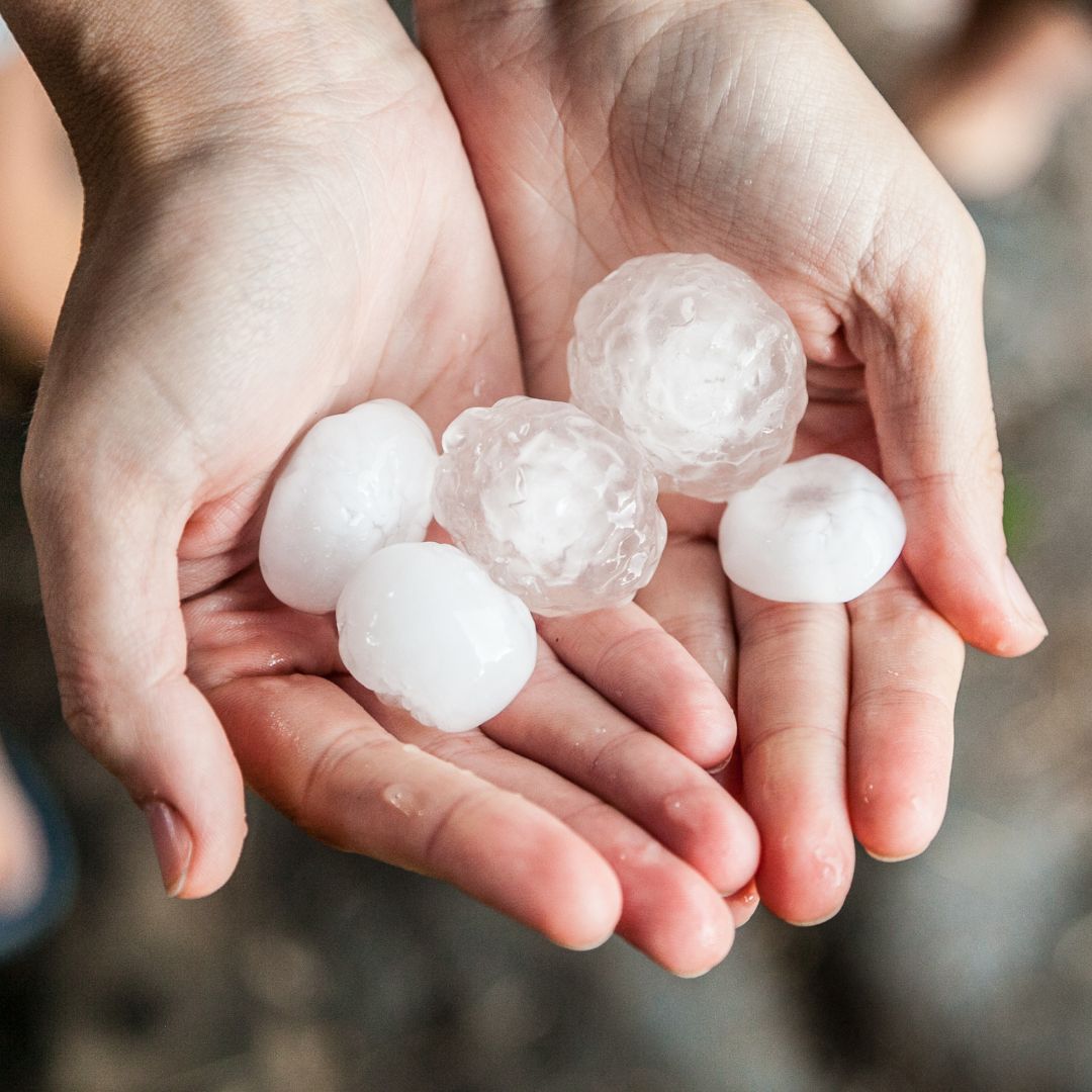 a person holding large hail balls